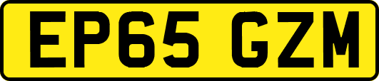 EP65GZM