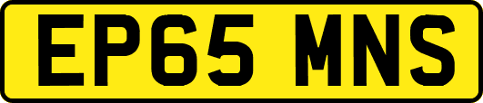 EP65MNS