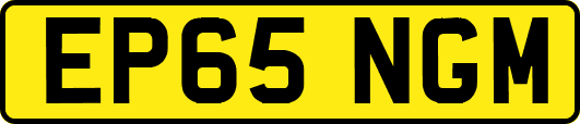 EP65NGM