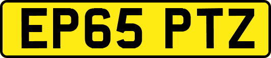 EP65PTZ