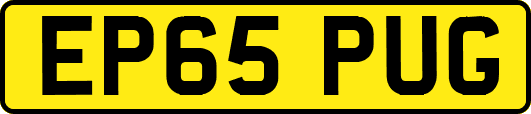 EP65PUG