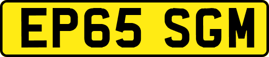EP65SGM