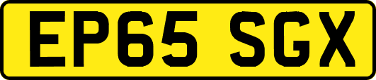 EP65SGX