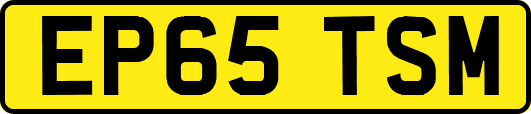 EP65TSM