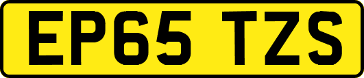 EP65TZS