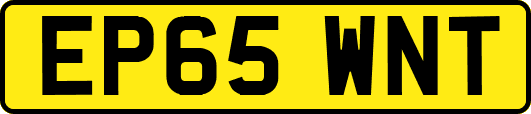 EP65WNT
