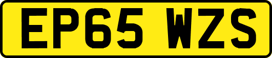 EP65WZS
