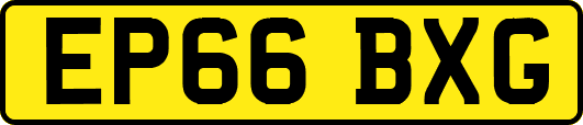 EP66BXG