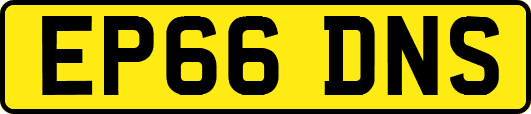 EP66DNS