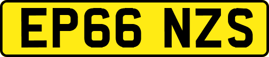 EP66NZS