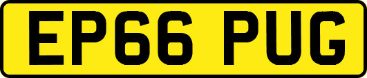EP66PUG