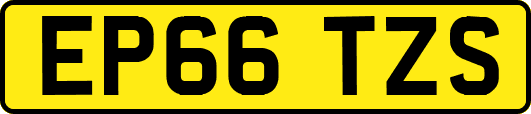 EP66TZS