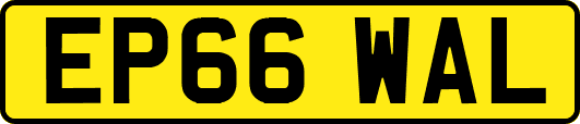 EP66WAL