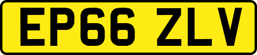 EP66ZLV