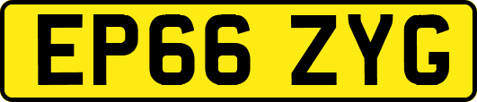 EP66ZYG