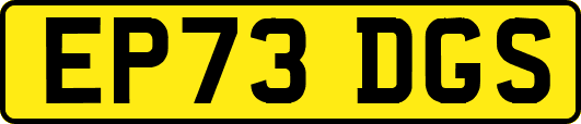 EP73DGS