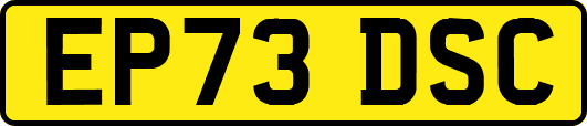 EP73DSC