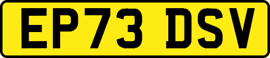 EP73DSV