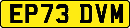 EP73DVM
