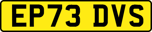 EP73DVS
