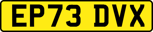 EP73DVX
