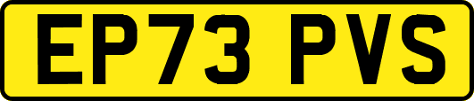 EP73PVS