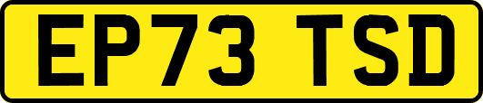 EP73TSD