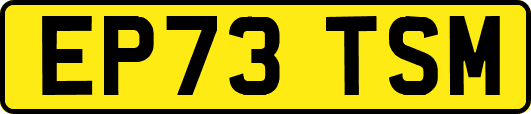 EP73TSM