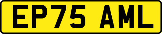 EP75AML