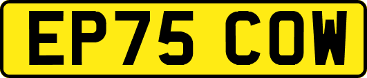 EP75COW
