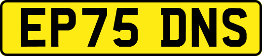 EP75DNS
