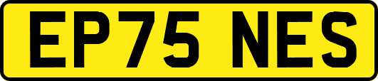 EP75NES