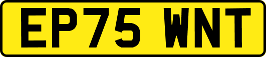 EP75WNT