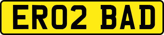 ER02BAD