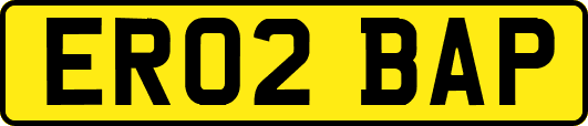 ER02BAP