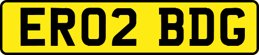ER02BDG