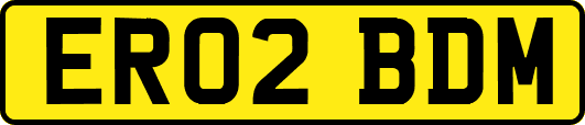 ER02BDM