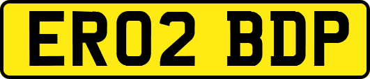 ER02BDP
