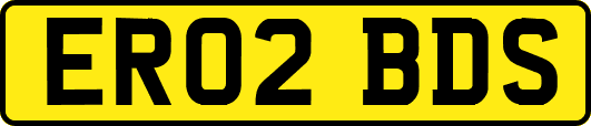 ER02BDS