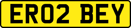 ER02BEY