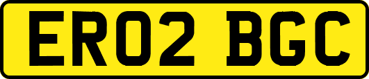 ER02BGC