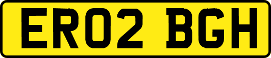 ER02BGH