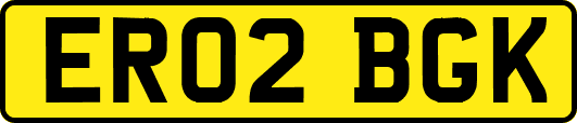 ER02BGK