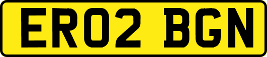 ER02BGN