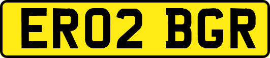 ER02BGR