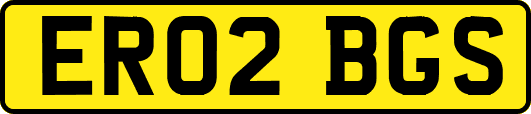 ER02BGS