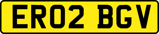 ER02BGV