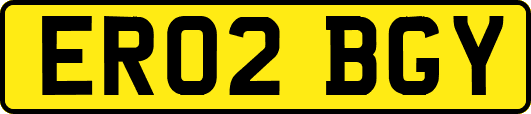 ER02BGY