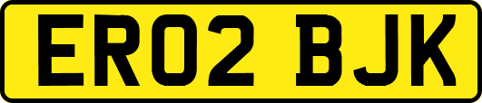 ER02BJK