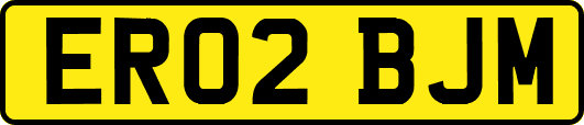 ER02BJM